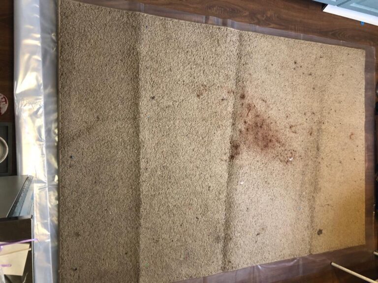 Химчистка ковра ДО